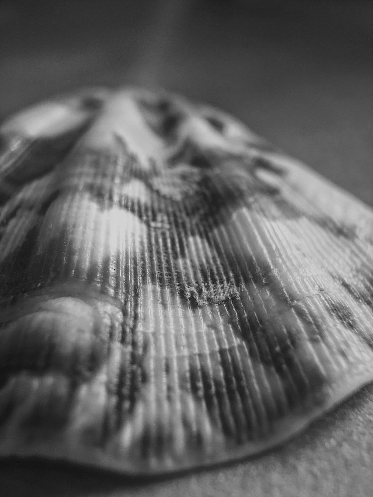 Photograph by Daria Filatova