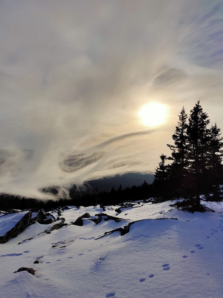 Photo #5472795
