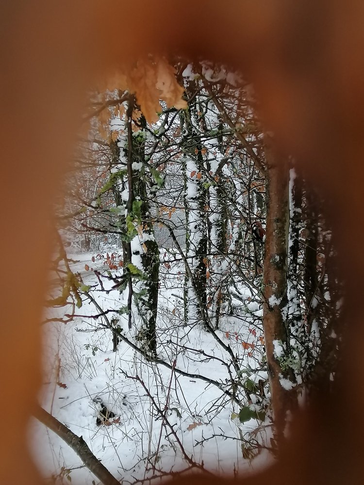 Photograph by Коробочка