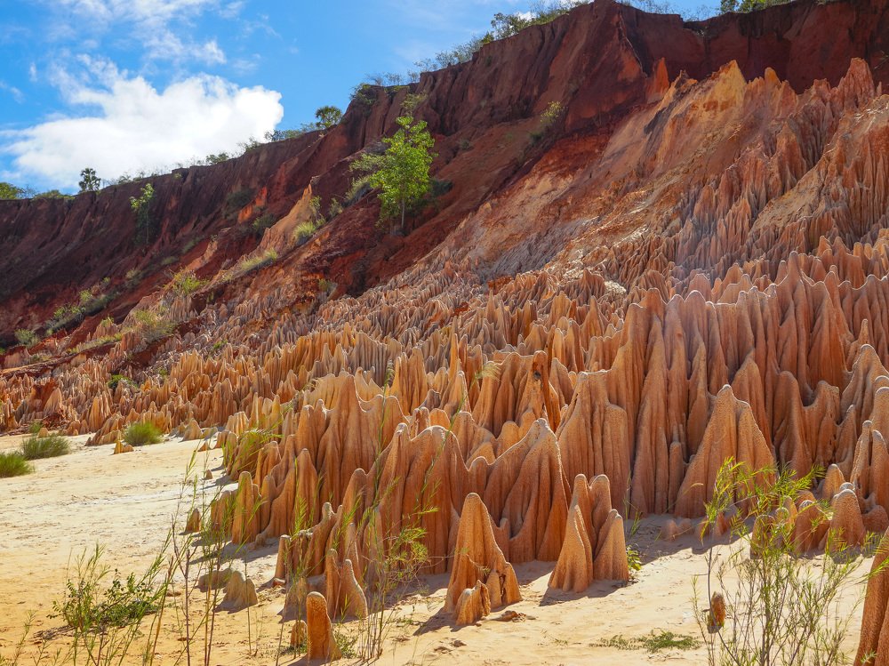 Photograph by Aleksandr Zaitsev