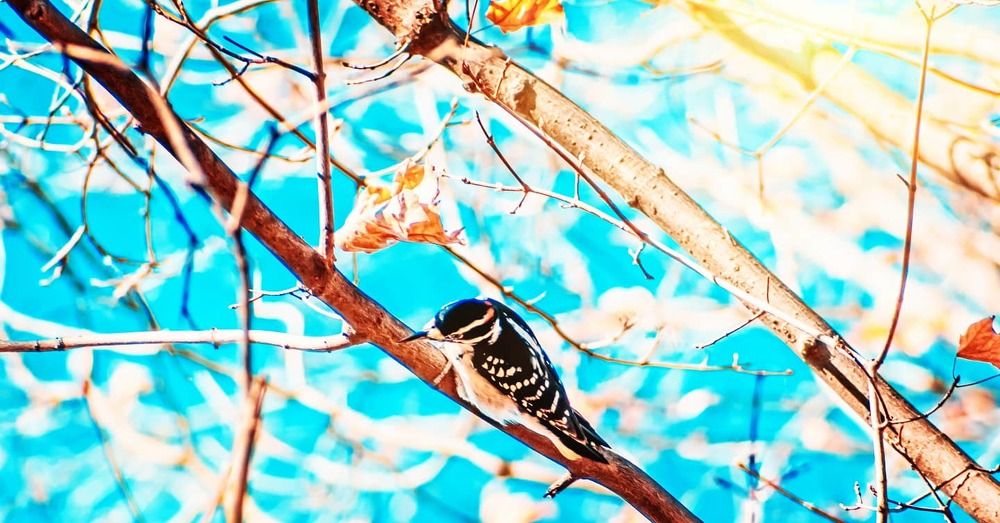 Photograph by Sharon Sabharwal