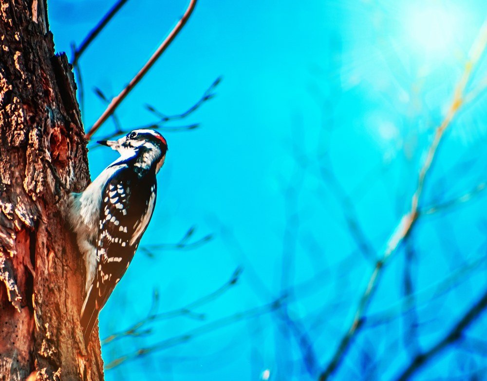 Photograph by Sharon Sabharwal