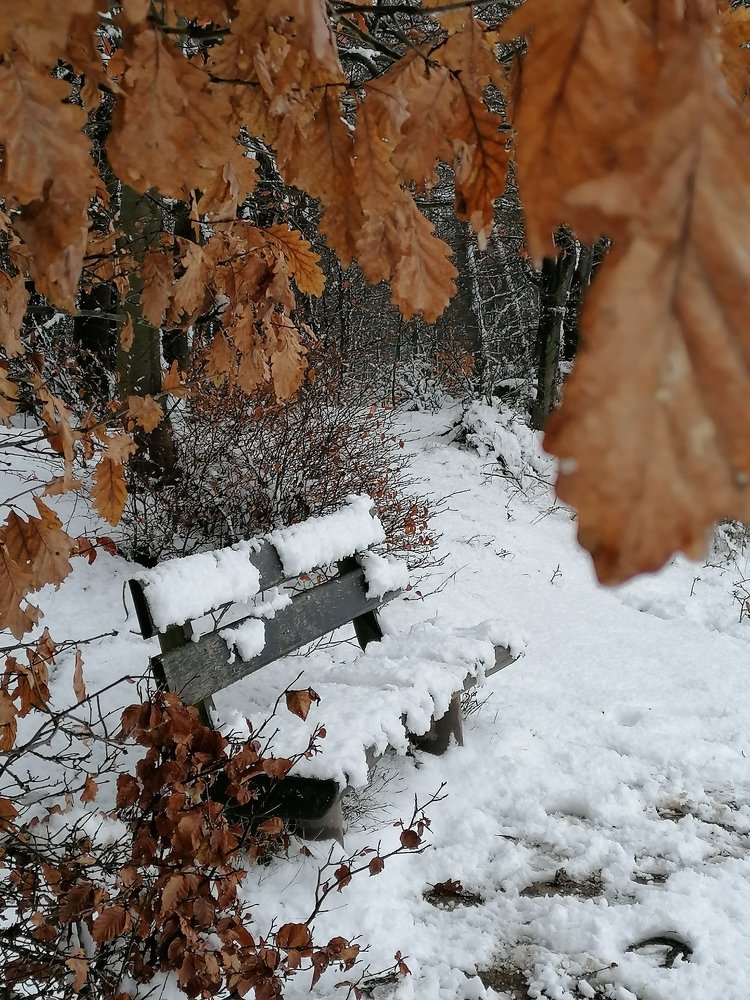 Photograph by Коробочка