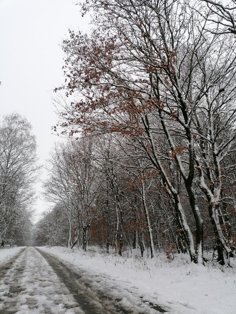 Photograph by Коробочка