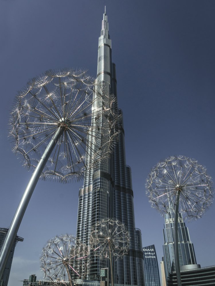 Photograph by Татьяна Сафрошкина