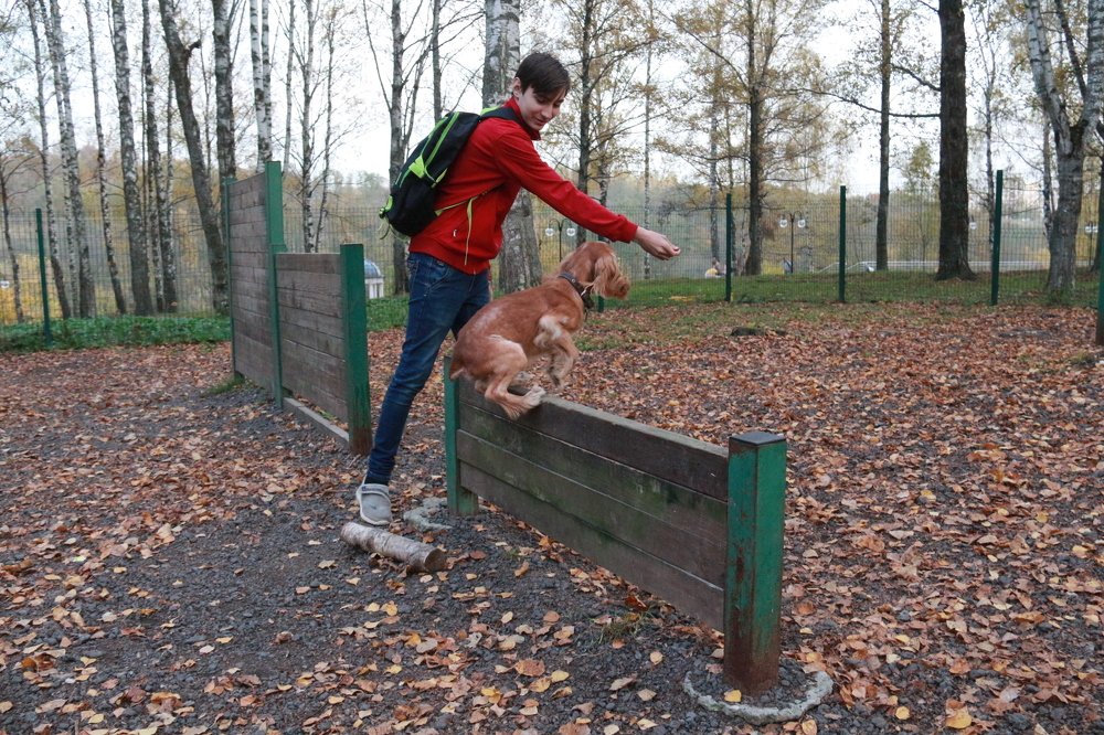 Photograph by Василий