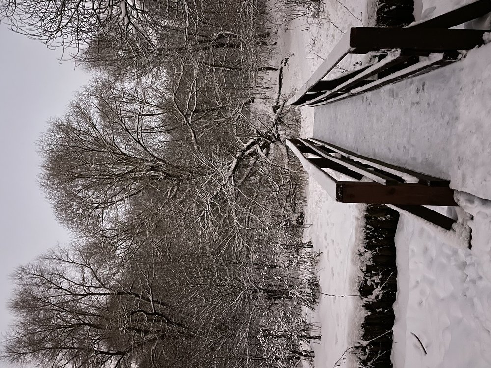Photograph by Юлия Давшан