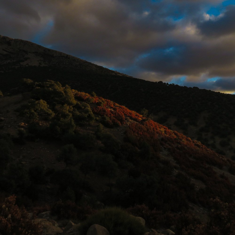 Photo #5473062