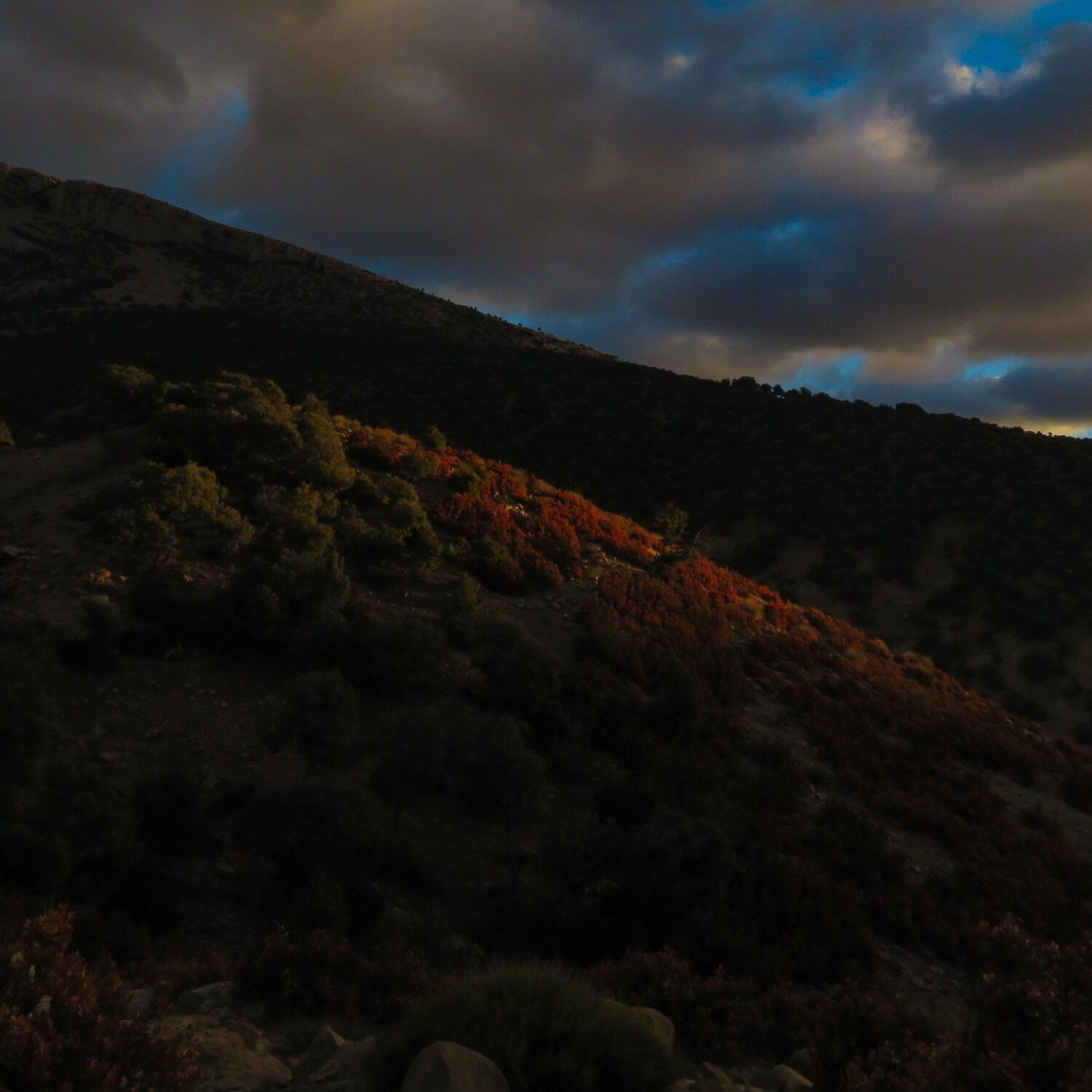 Photo #5473062