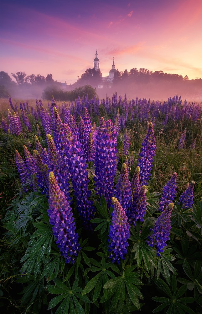 Фотография автора Глеб Хлопунов