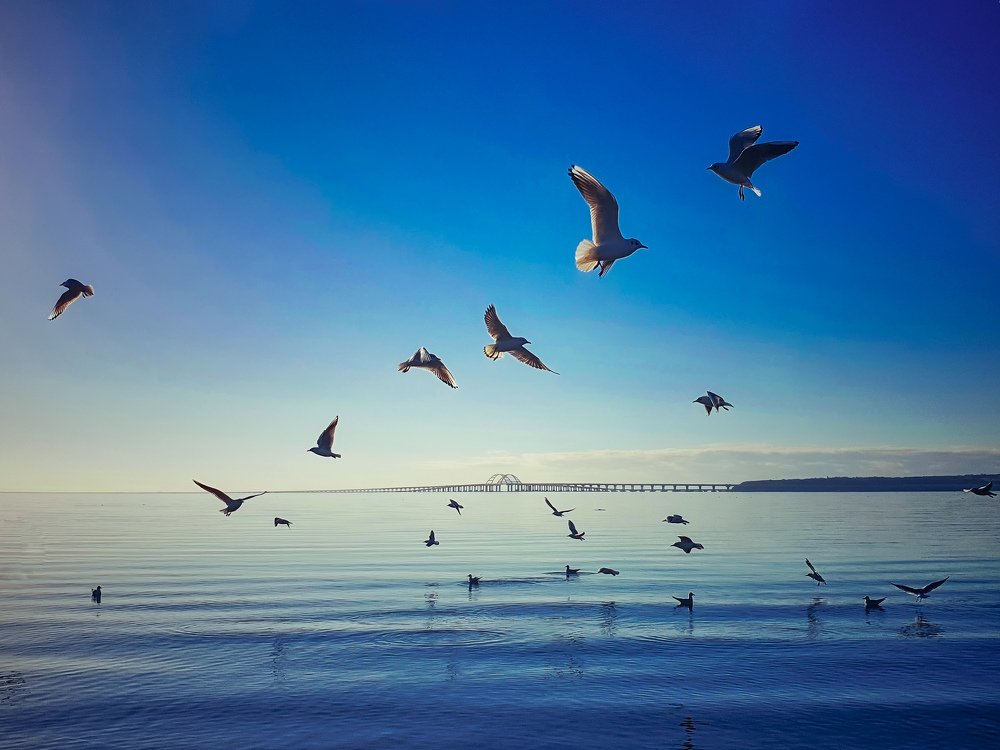 Photograph by Лариса Когтева