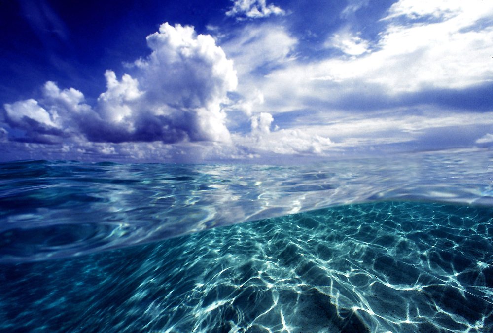 Photograph by Armando Jenik