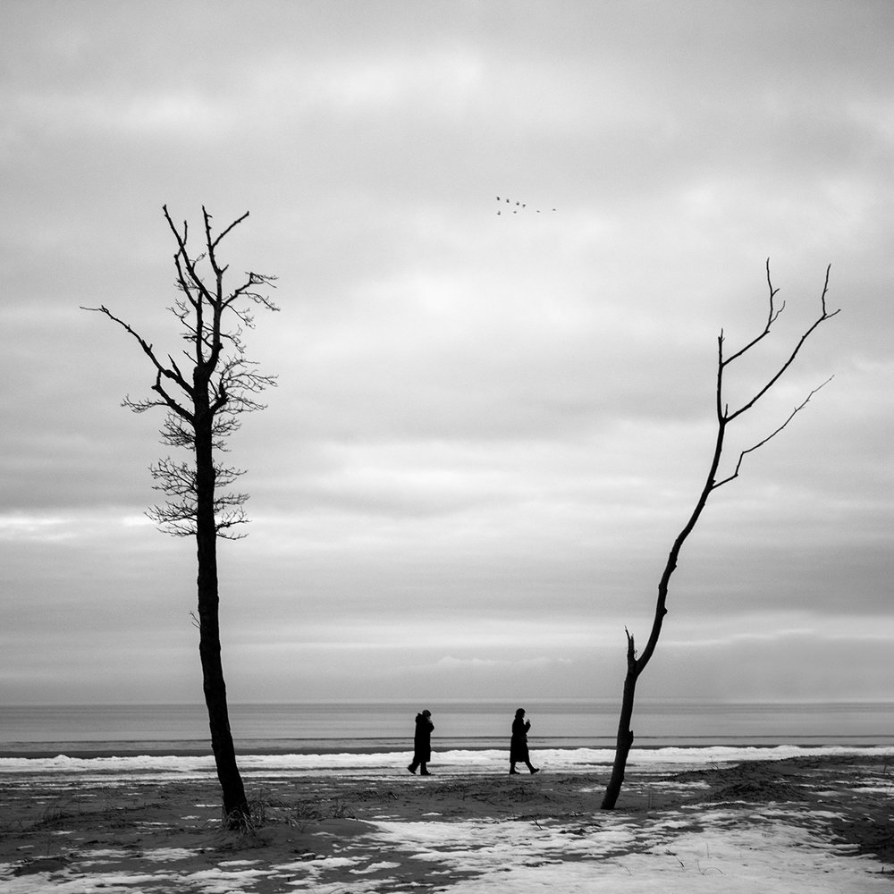 Photograph by Крицак Ольга