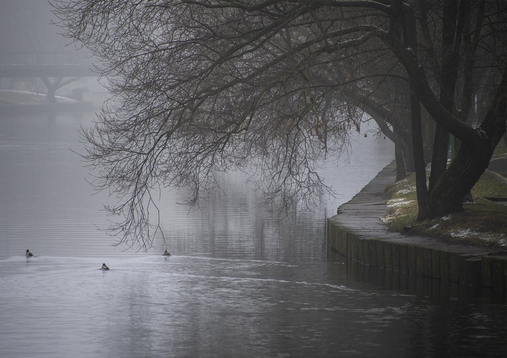 Photograph by Tatiana Zuikova