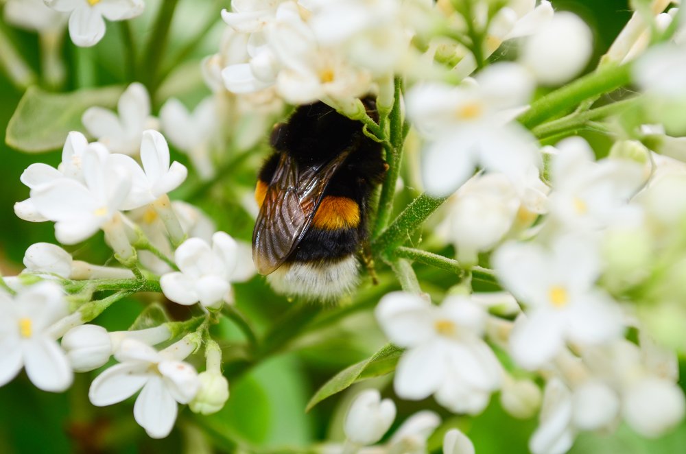 Photograph by Ирина Глушенкова