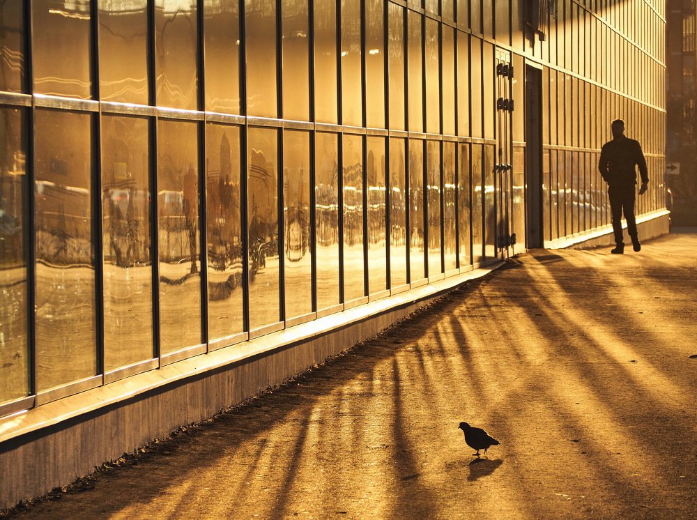 Photograph by Надежда Васильева