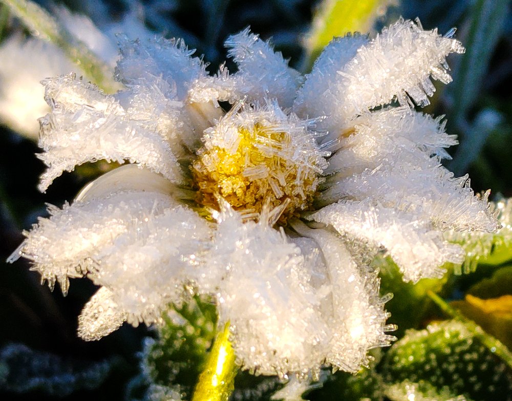 Photograph by Lina Engblom