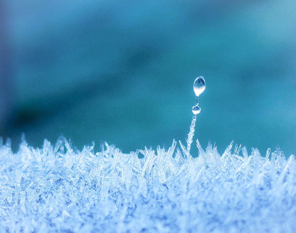 Photograph by Lina Engblom