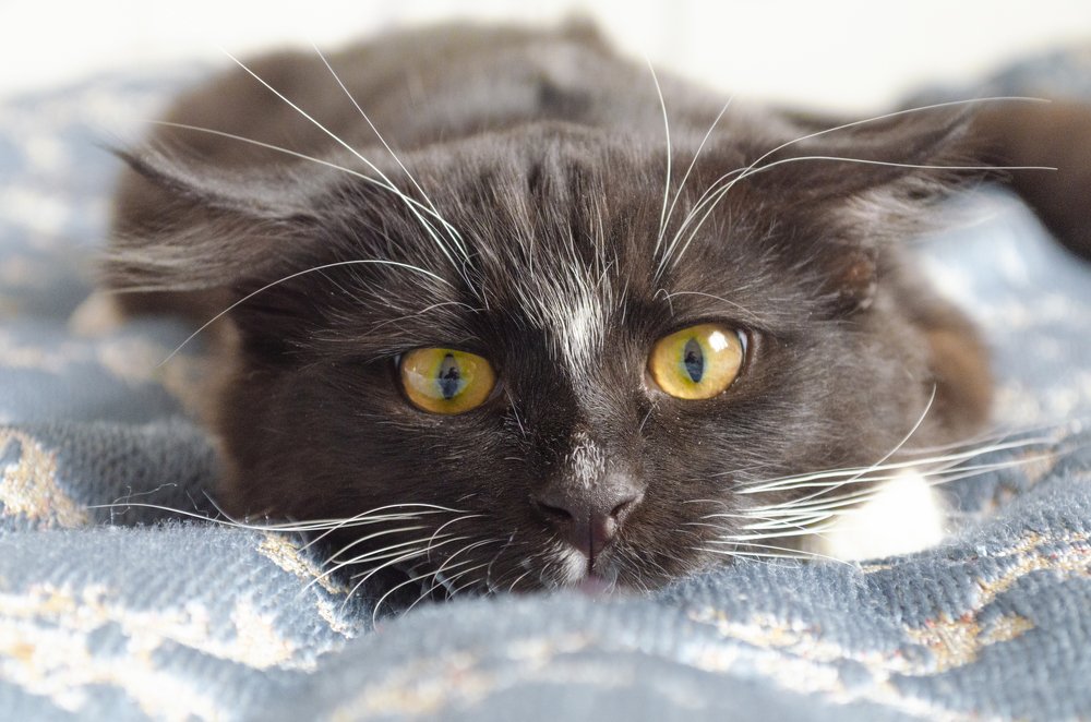 Photograph by Ирина Глушенкова