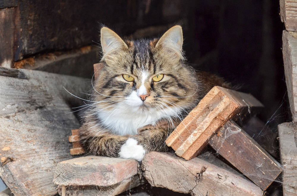 Photograph by Ирина Глушенкова