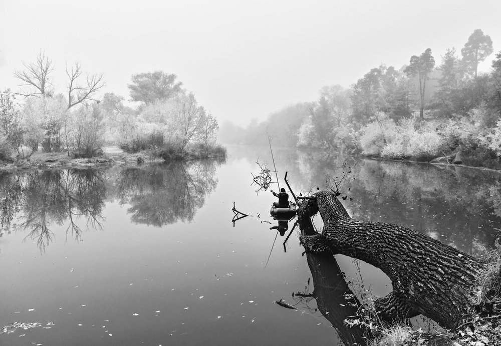 Photograph by Виталий Тимофеев