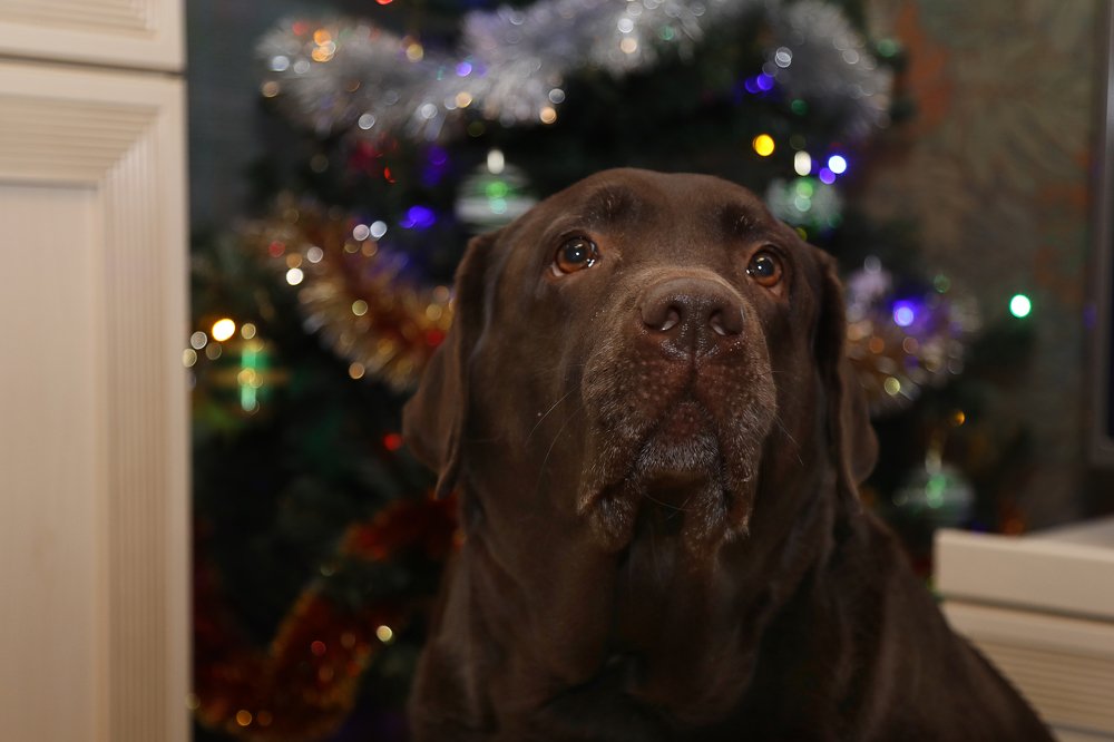 Фотография автора Андрей Шувалов