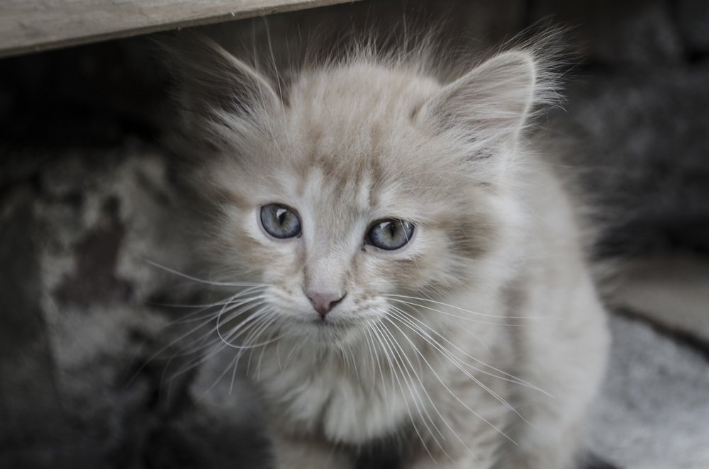 Photograph by Ирина Глушенкова