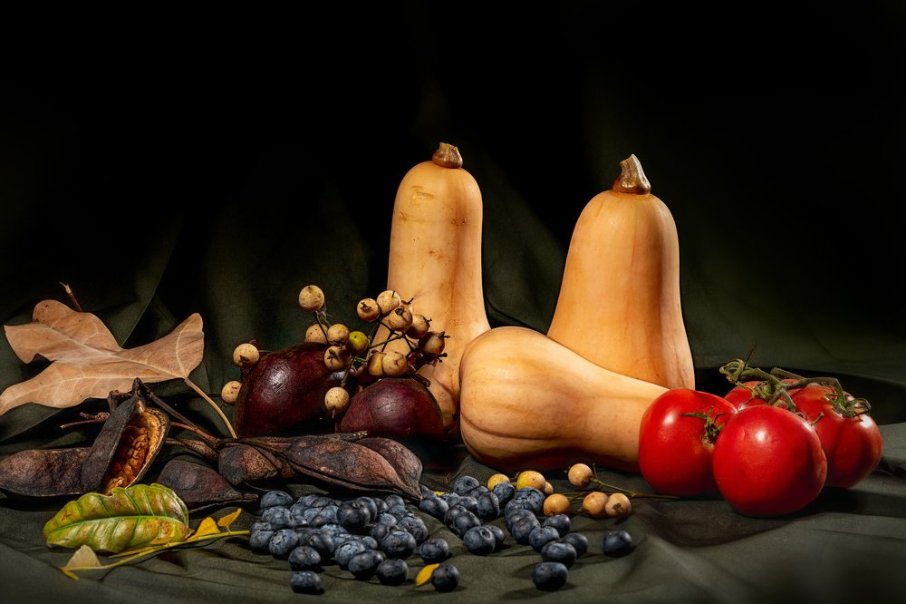 Photograph by David Lerer