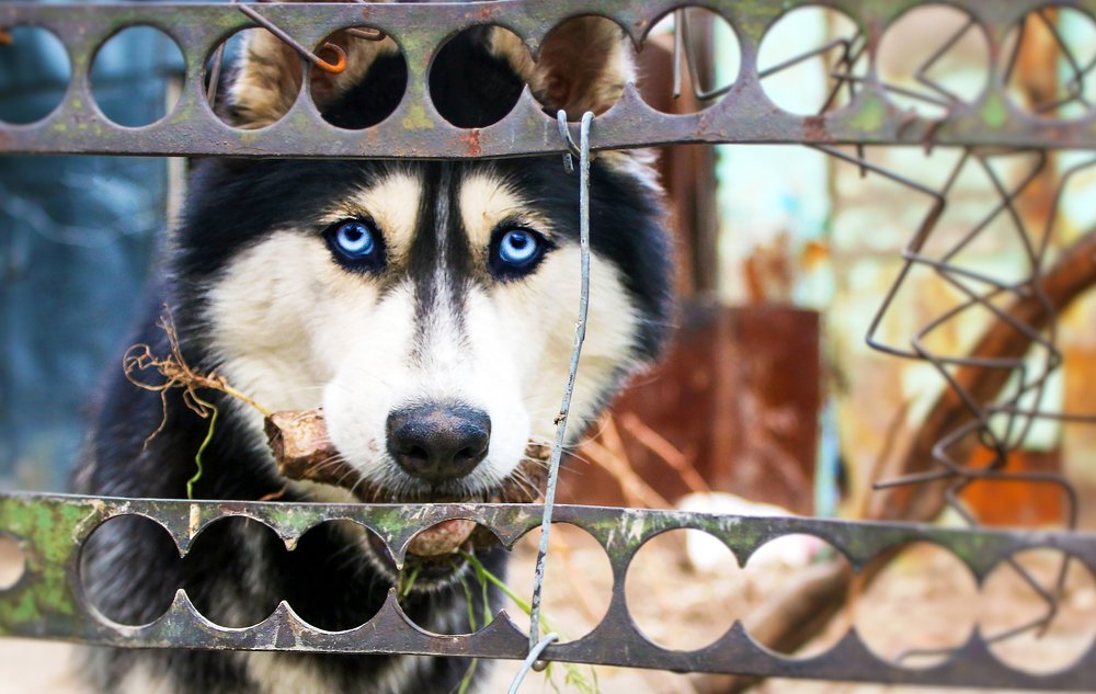 Photograph by Maya Step