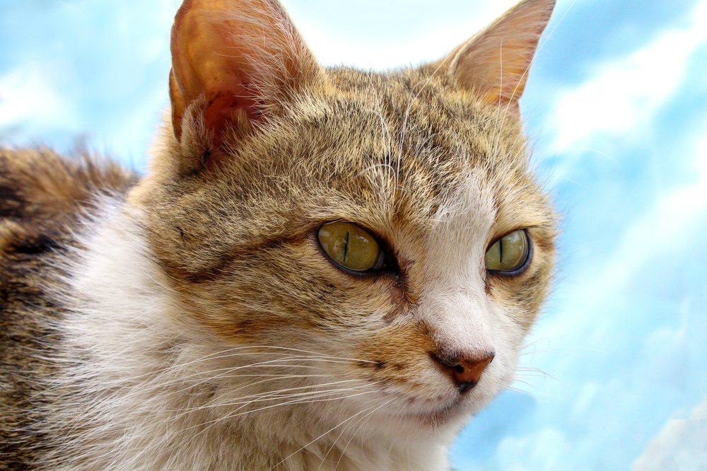 Photograph by Maya Step