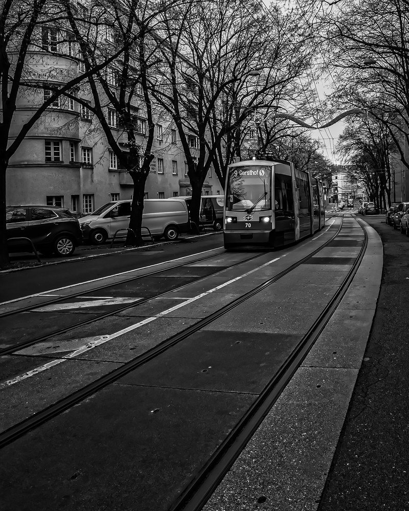 Фотография автора Georgeta Andronachi