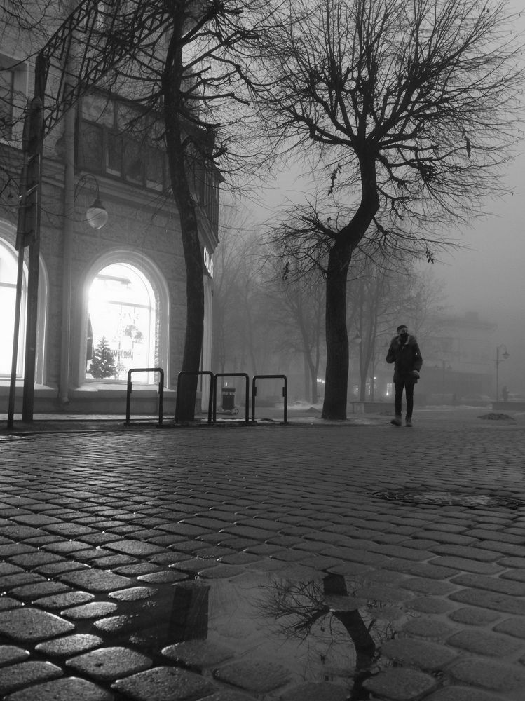 Туман. Канун Нового года.