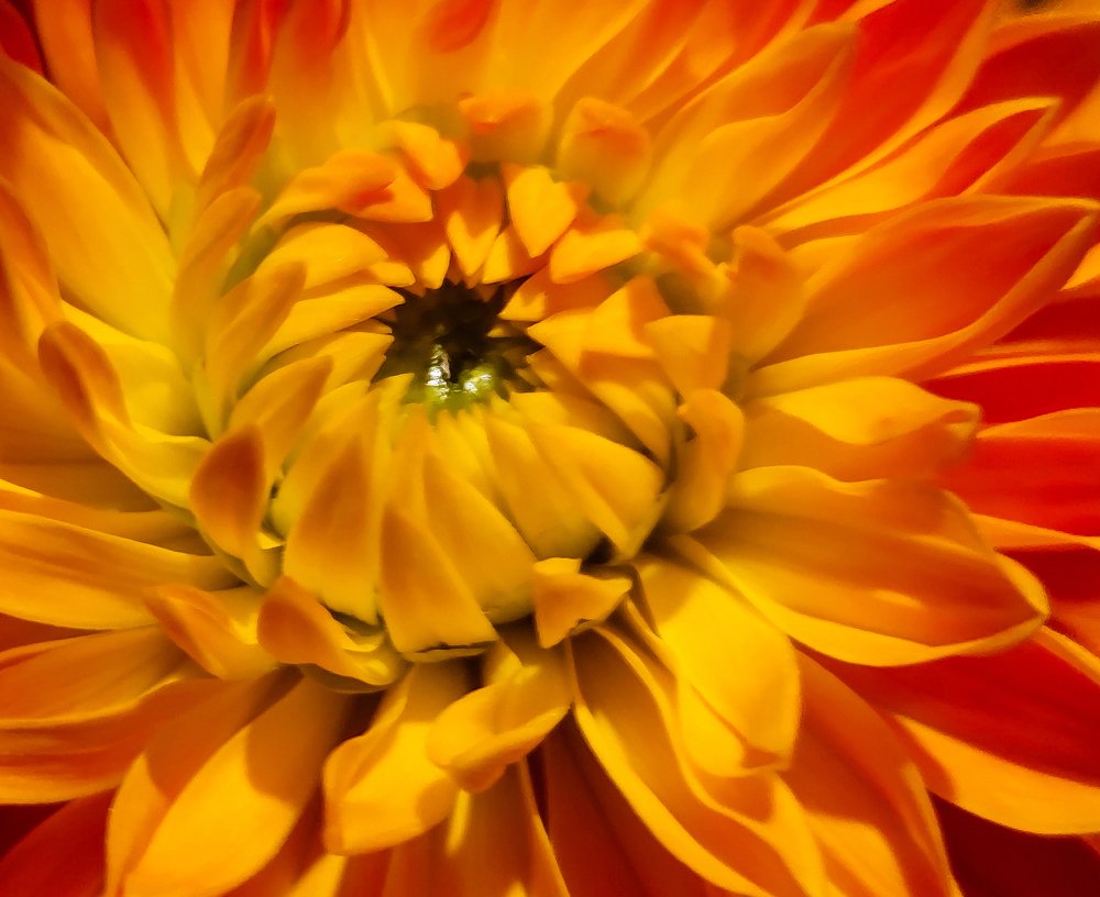 Photograph by Lina Engblom