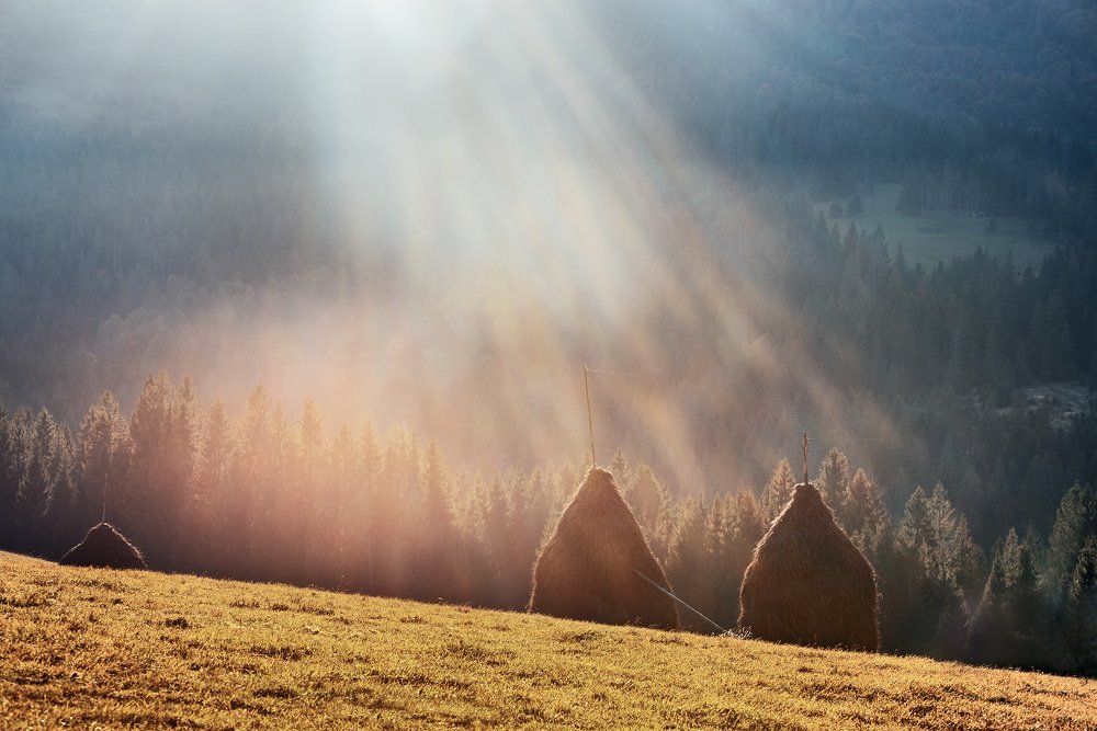 Photograph by Крицак Ольга