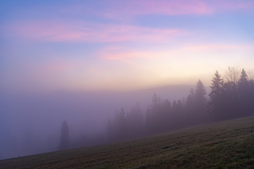 Photograph by Крицак Ольга