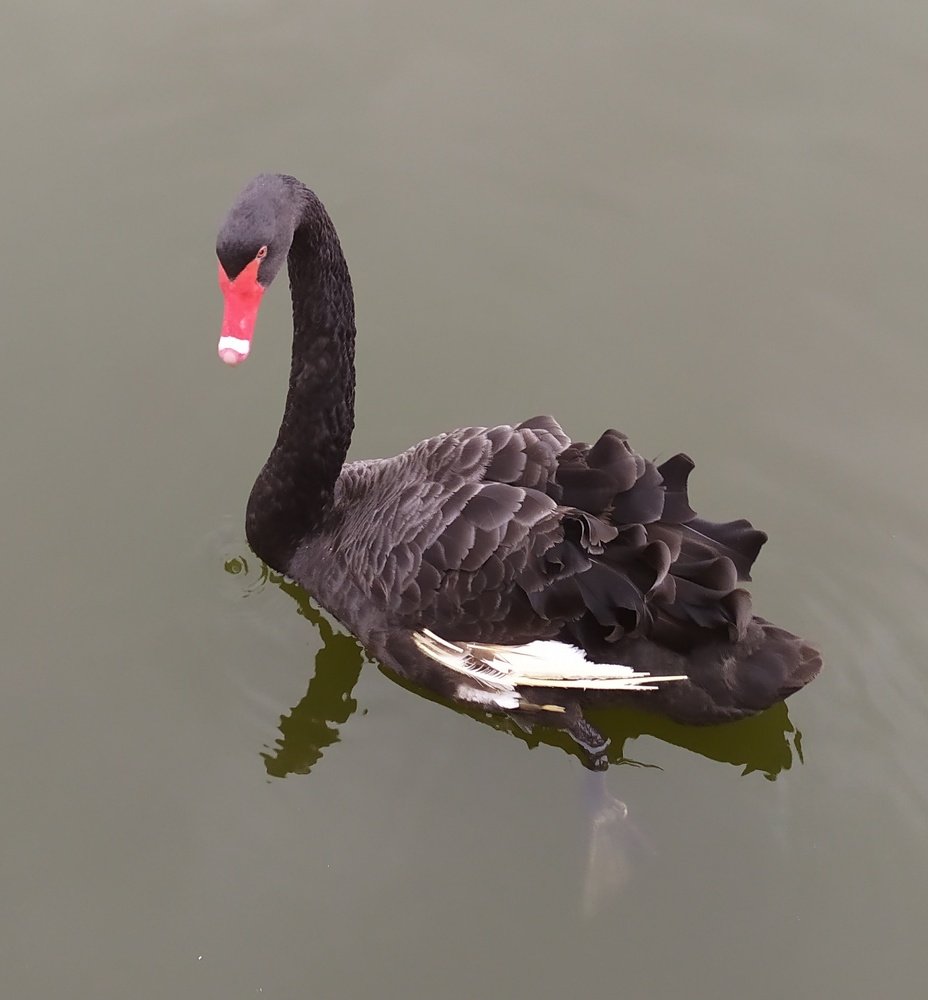 Photograph by Павел Михно