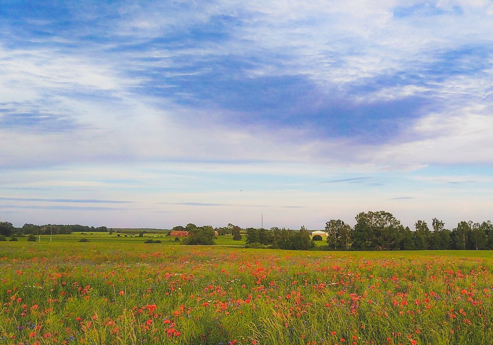 Photograph by Lina Engblom