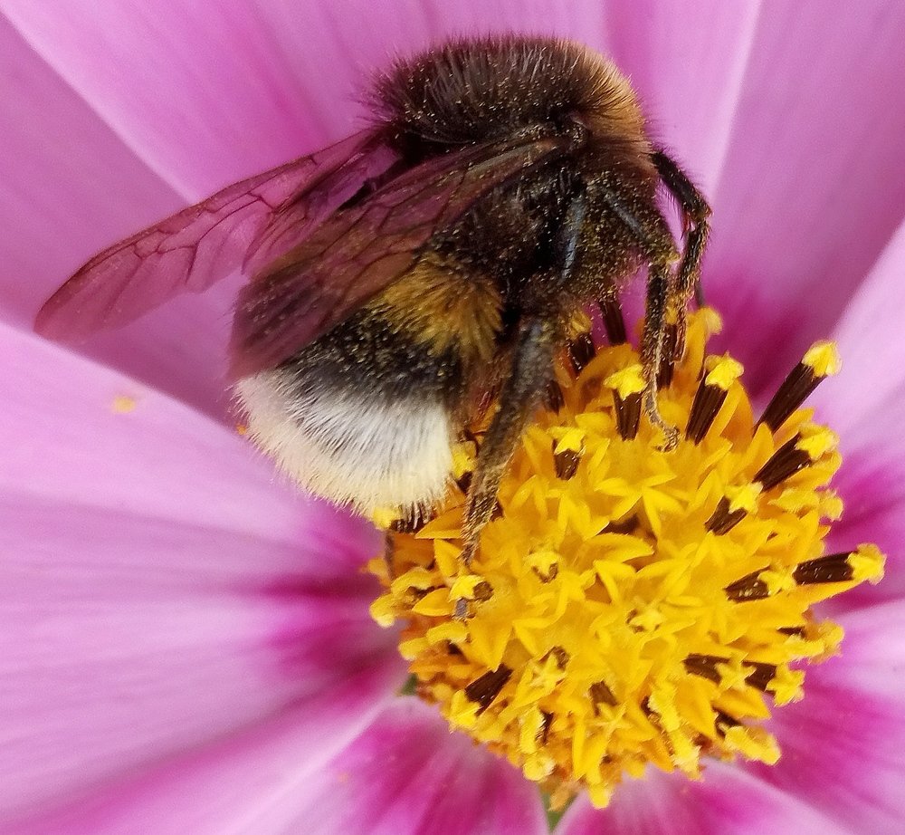 Photograph by Борис Каширин