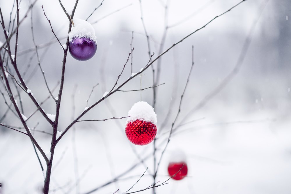 Photograph by Natalia Megelbey