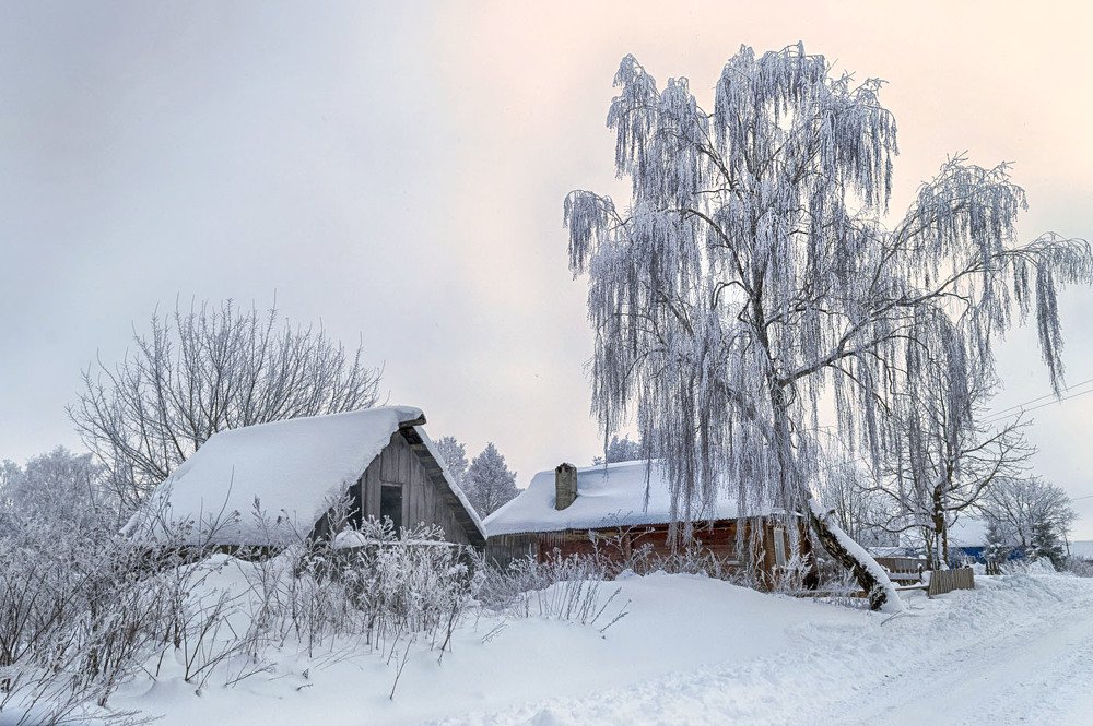 Photograph by Андрей Ныриков