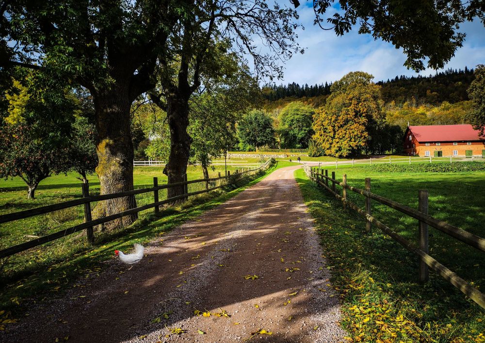 Photograph by Lina Engblom