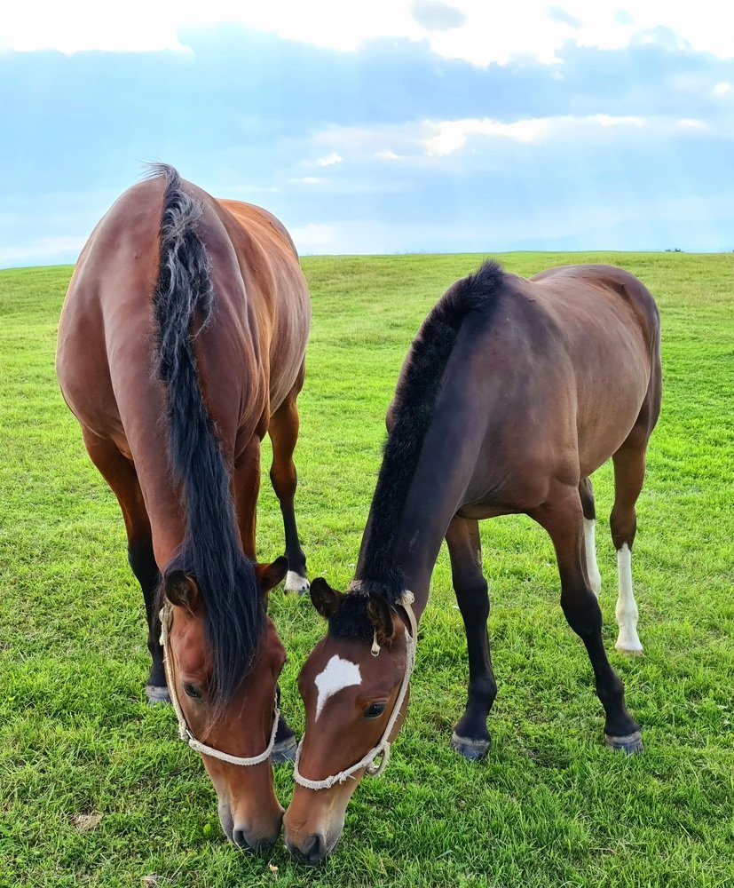 Прогулка днем
