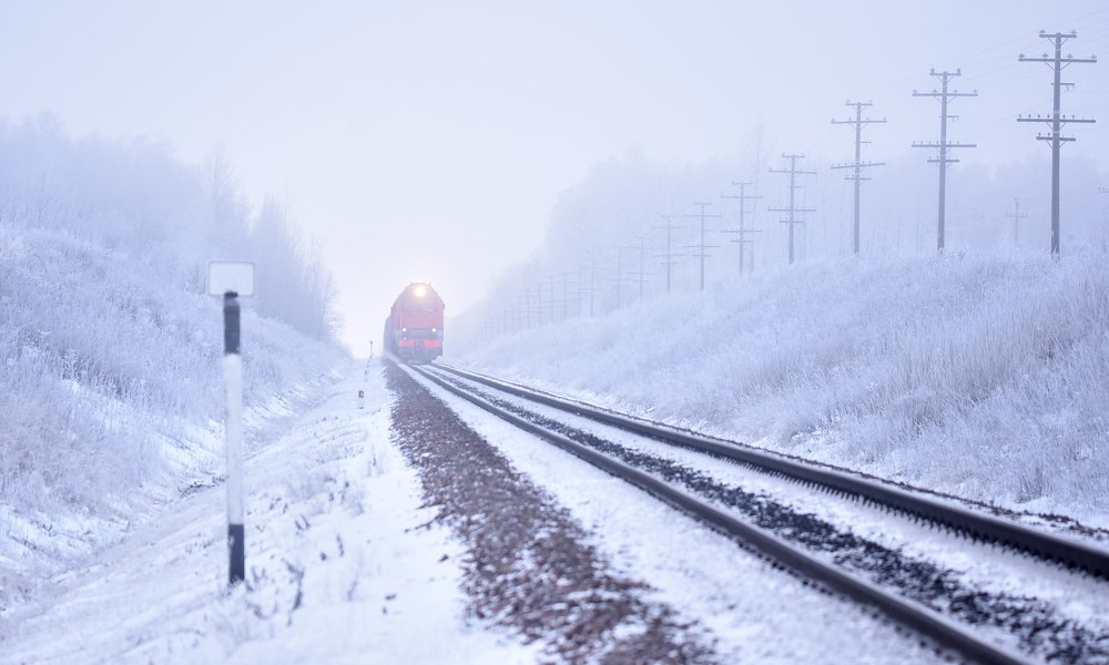 Photograph by наталья залогина