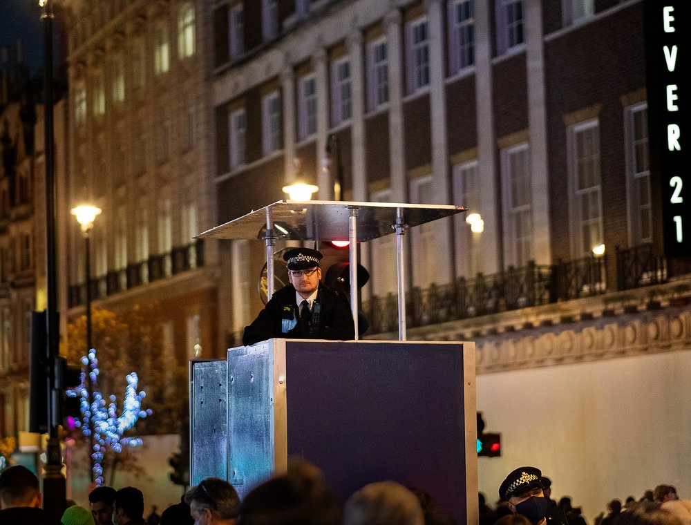 Photograph by Julia Mustard