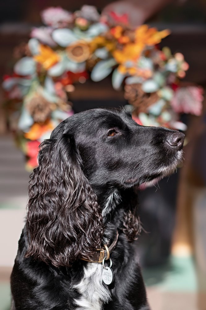 Photograph by Julia Mustard