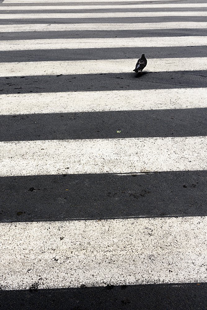 "Alone in the street"