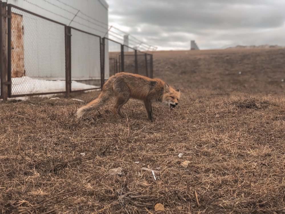 Photograph by Микаил Зулфугаров