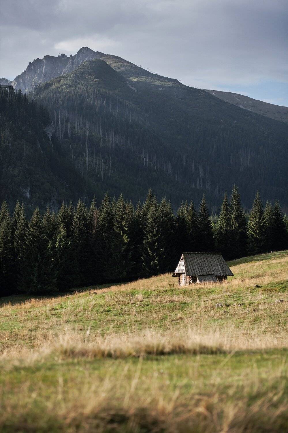 Photo #5473932
