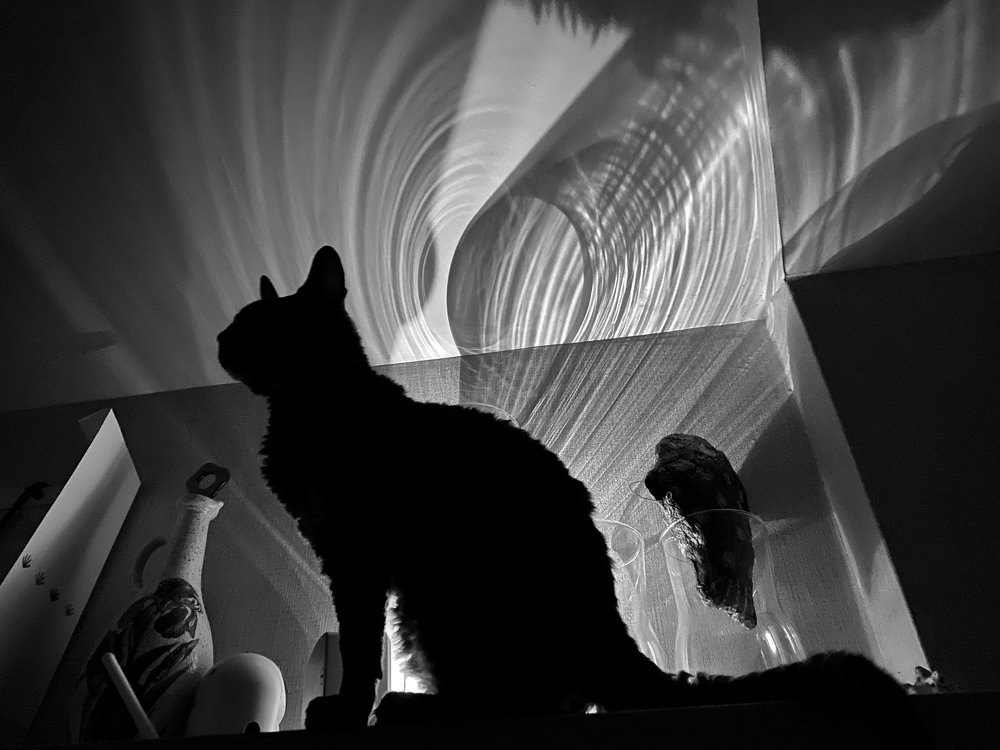 Photograph by Стрельникова Елена