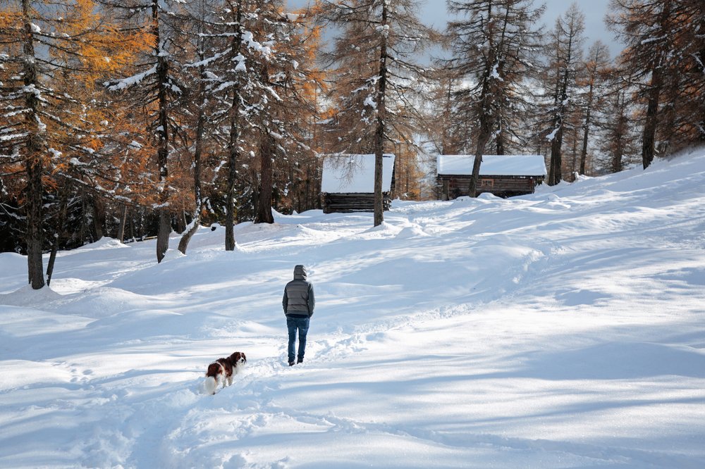 Photograph by Lina Gorelova